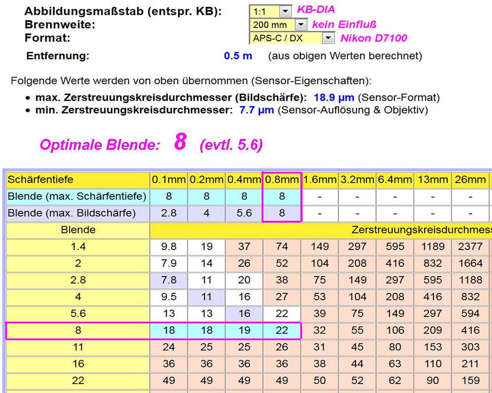 Tiefenschaerfe1.jpg