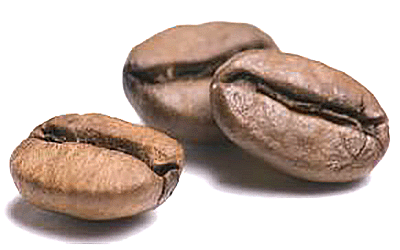Kaffeebohne.png